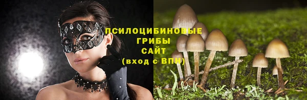 apvp Инсар