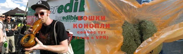 гидропоника Иннополис