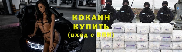 apvp Инсар