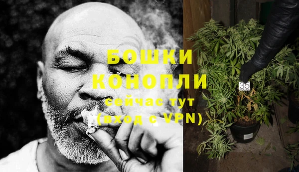 гидропоника Иннополис