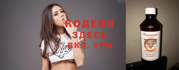 apvp Инсар