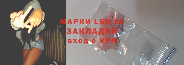 apvp Инсар