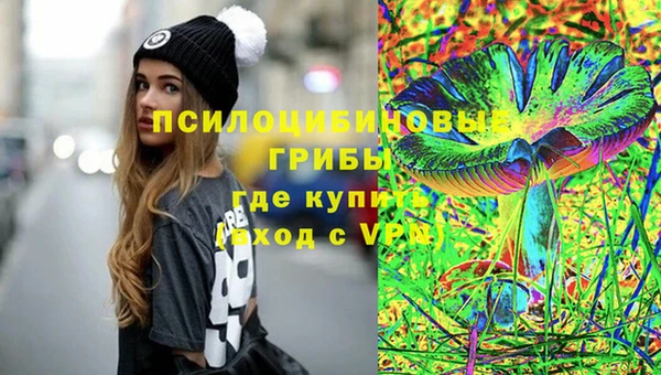 гидропоника Иннополис