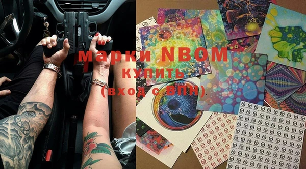 apvp Инсар