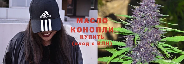гидропоника Иннополис